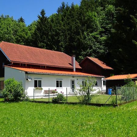 Haus Im Gruenen - Gmundennaehe Pinsdorf Exteriör bild