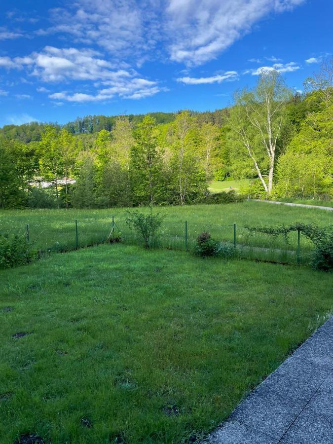 Haus Im Gruenen - Gmundennaehe Pinsdorf Exteriör bild