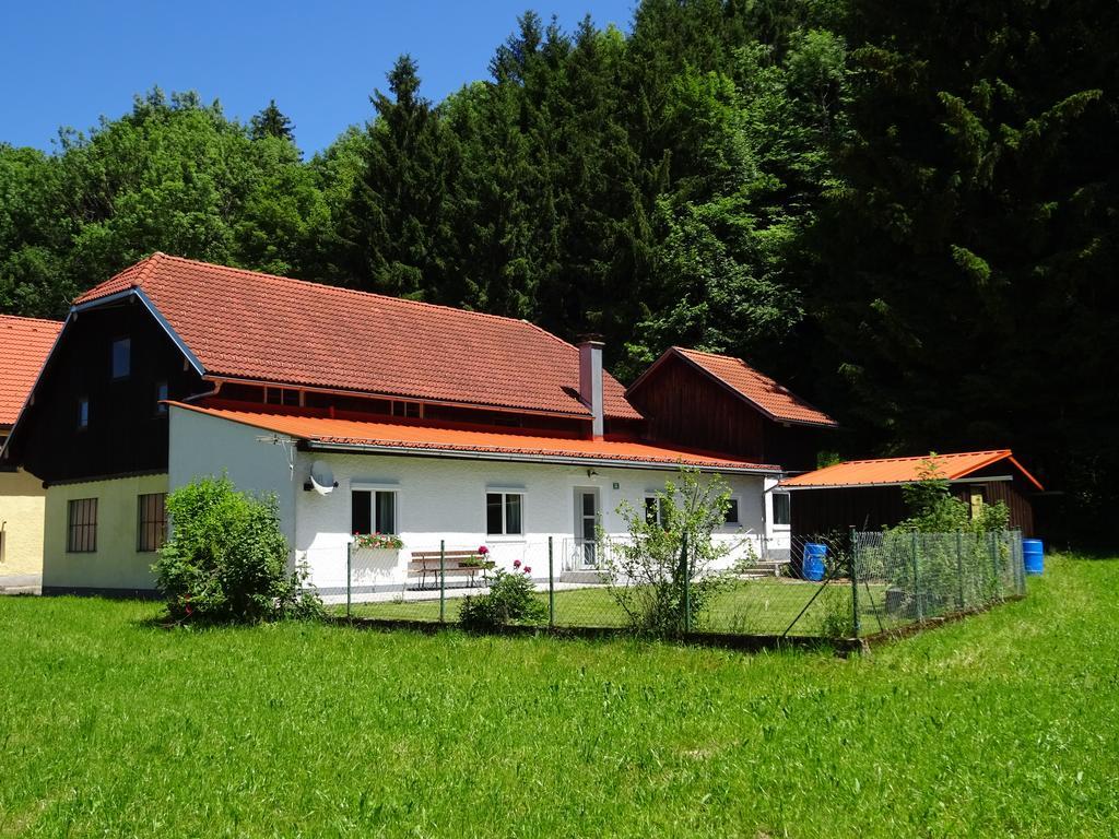Haus Im Gruenen - Gmundennaehe Pinsdorf Exteriör bild