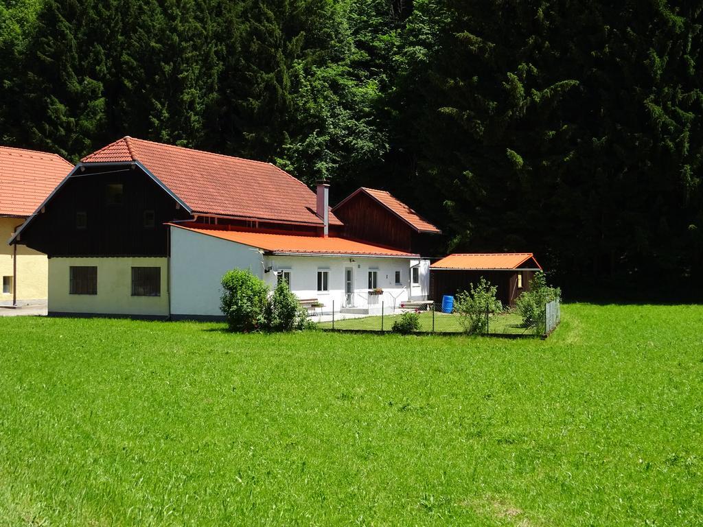 Haus Im Gruenen - Gmundennaehe Pinsdorf Exteriör bild