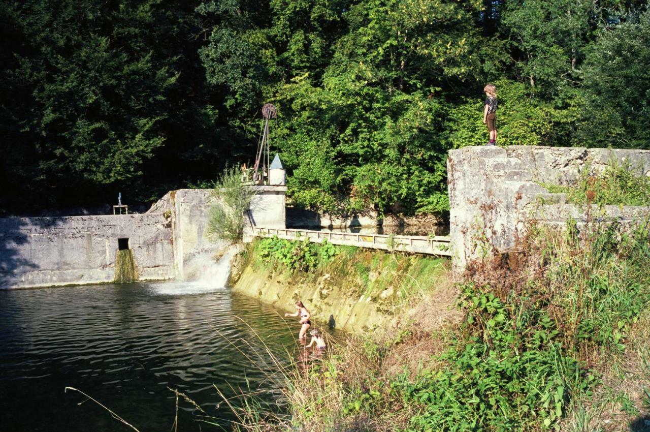 Haus Im Gruenen - Gmundennaehe Pinsdorf Exteriör bild